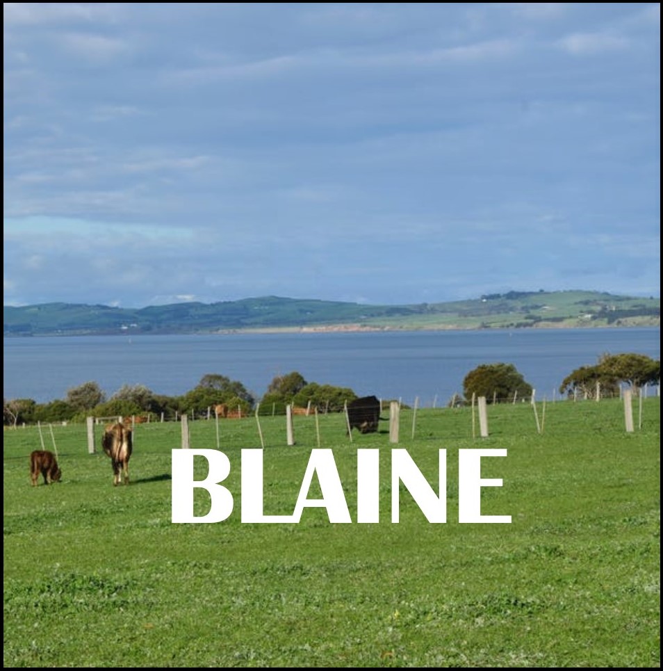 Blaine